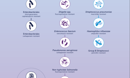 WHO updates list of drug-resistant bacteria most threatening to human health